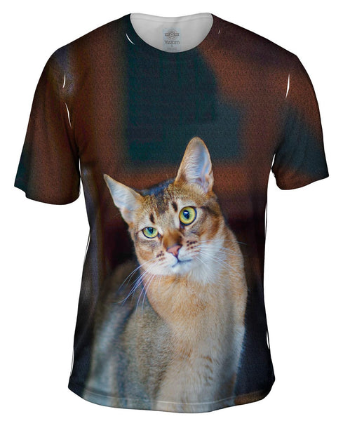 Confused Cat&nbsp;Mens T-Shirt
