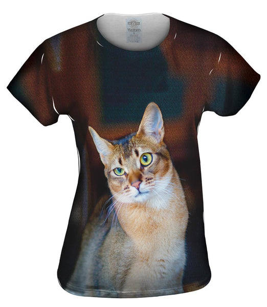 Confused Cat Womens Top