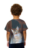 Kids Confused Cat