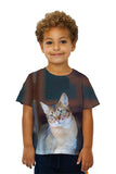 Kids Confused Cat