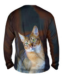 Confused Cat