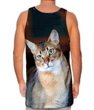 Confused Cat