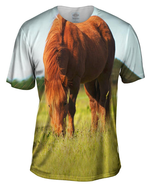 Brown Horse Grazing Mens T-Shirt