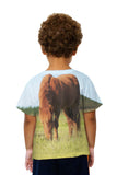 Kids Brown Horse Grazing
