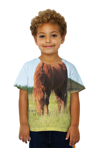 Kids Brown Horse Grazing