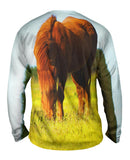 Brown Horse Grazing