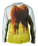 Brown Horse Grazing