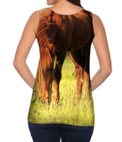 Brown Horse Grazing