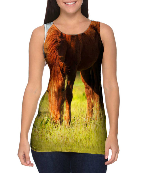Brown Horse Grazing&nbsp;Womens Tank Top