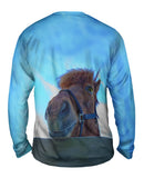 Horse Fence Peeker