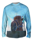 Horse Fence Peeker