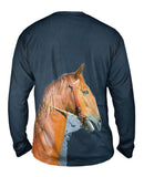 Paso Fino Profile