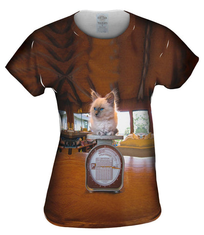 Heavy Weight Boxer Kitty Cat