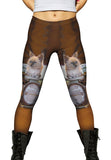 Heavy Weight Boxer Kitty Cat