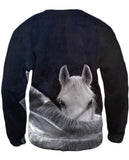 Mysterious Horse