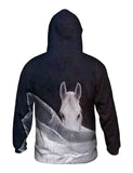 Mysterious Horse