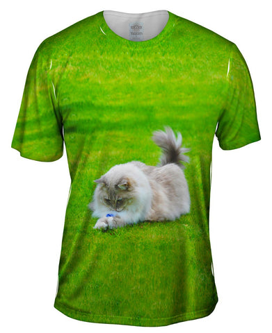 Cute Furball Kitty Cat