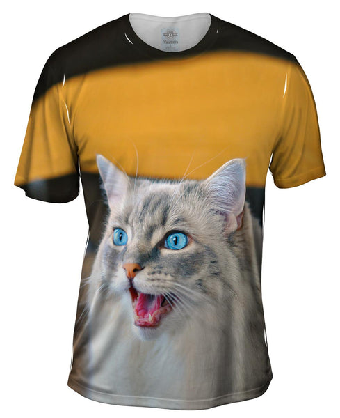 Bad Day Kitty Cat Mens T-Shirt
