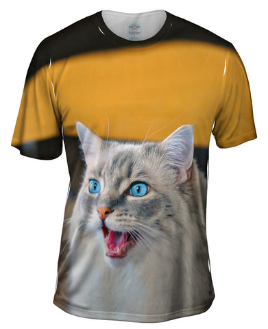 Bad Day Kitty Cat