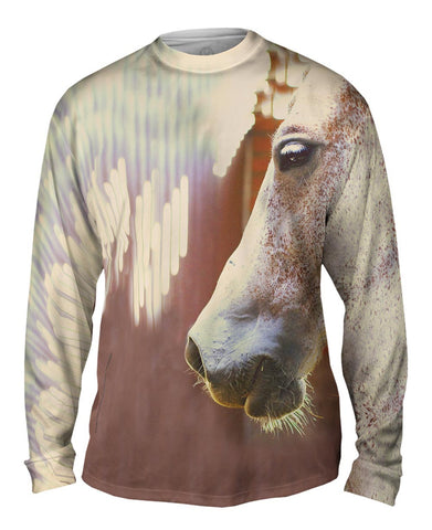 Freckle Face Horse