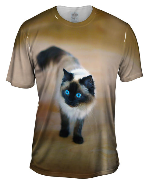 Spooked Kitty Cat Mens T-Shirt