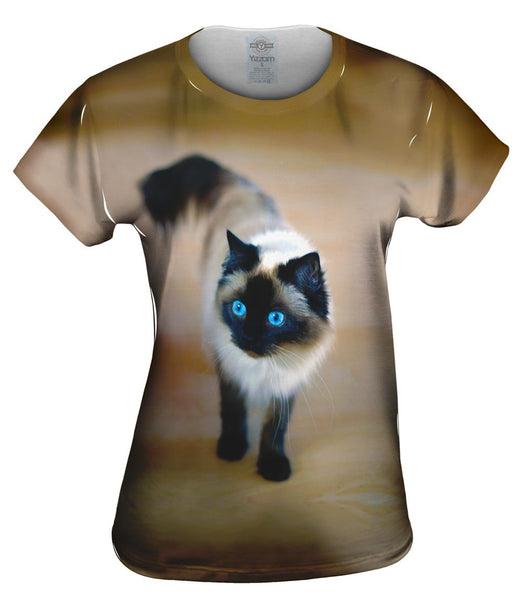 Spooked Kitty Cat Womens Top