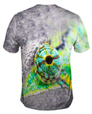 Iguana Eye Misses Nothing