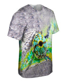 Iguana Eye Misses Nothing