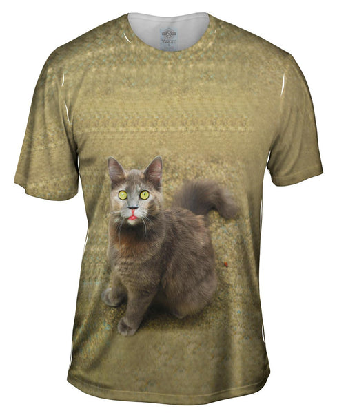Wow Brown Cat Mens T-Shirt