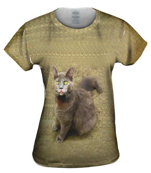 Wow Brown Cat Womens Top