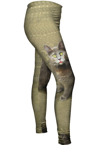 Wow Brown Cat
