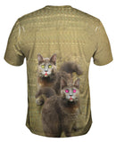 Skiddadles Brown Cats