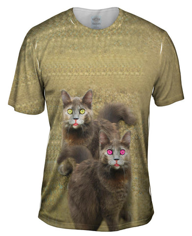 Skiddadles Brown Cats