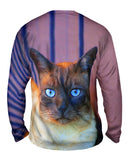 Sapphire Eyes Cat