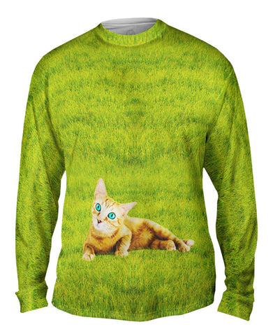 Cool Cat Bright Eyes
