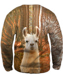 Whats Your Llama