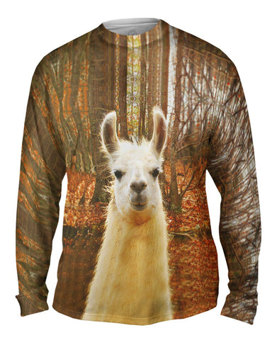 Whats Your Llama