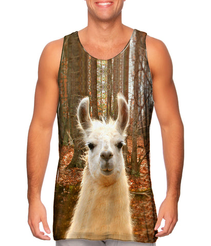 Whats Your Llama