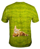 Amber Eyes Kitty Cat