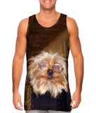 Educated Yorkie