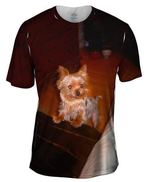 Yorkie Loves Attention Mens T-Shirt