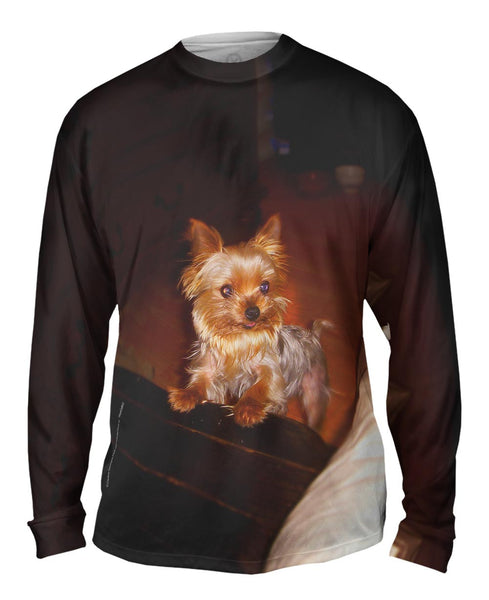 Yorkie Loves Attention Mens Long Sleeve