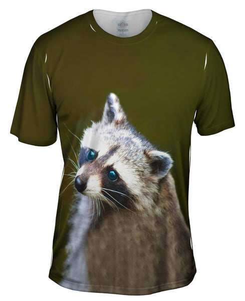 Blue Eyed Raccoon Mens T-Shirt
