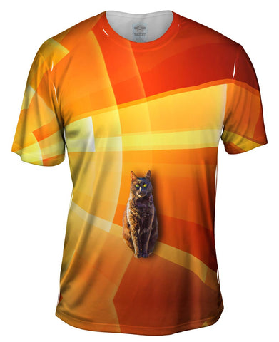 Cat Orange Background