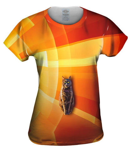 Cat Orange Background