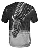 Monochrome Zebra