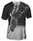 Monochrome Zebra