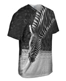 Monochrome Zebra