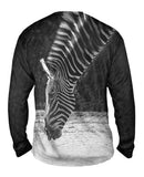 Monochrome Zebra