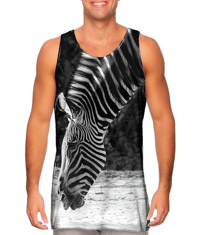Monochrome Zebra